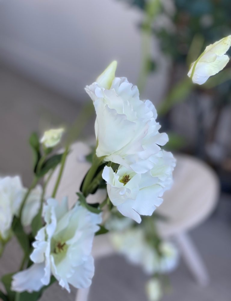 Eustoma or Lisianthus Blanco Stem – Pretty Little Homewares